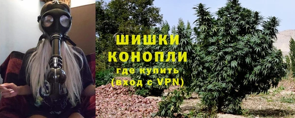 хмурый Ладушкин